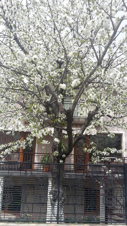 Kyurkchievi Guest House ساباريفا بانيا المظهر الخارجي الصورة