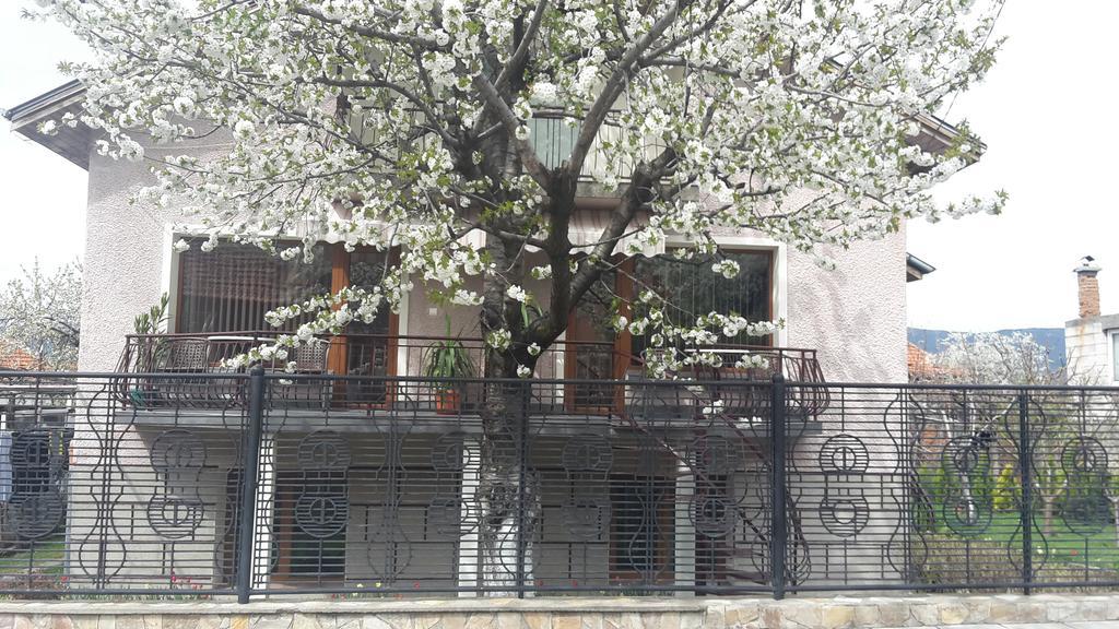 Kyurkchievi Guest House ساباريفا بانيا المظهر الخارجي الصورة