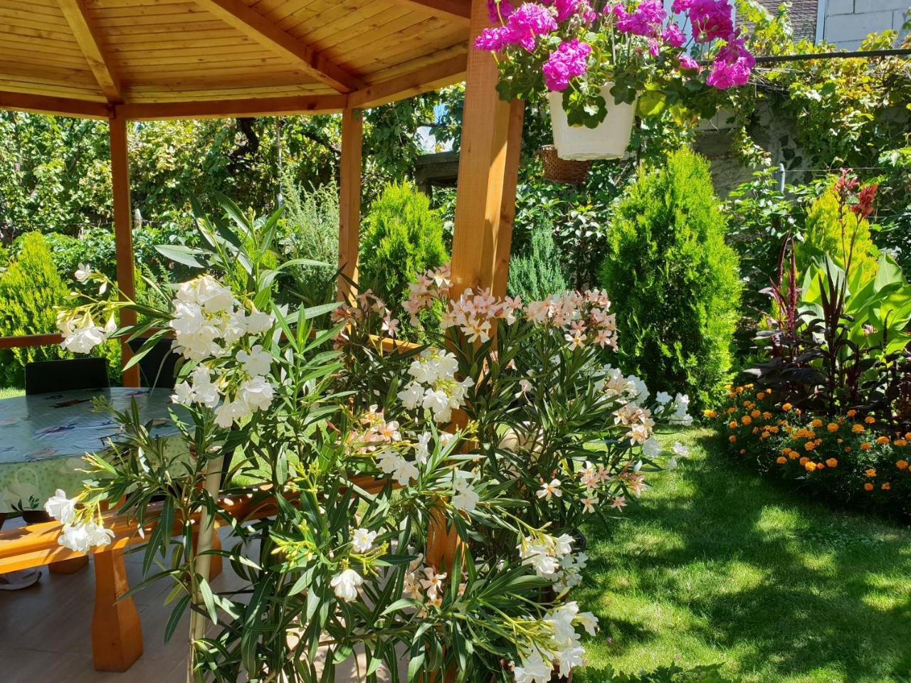 Kyurkchievi Guest House ساباريفا بانيا المظهر الخارجي الصورة