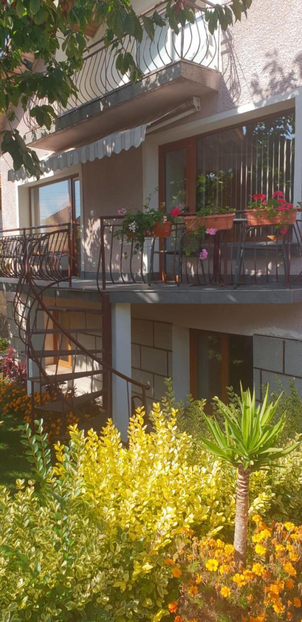 Kyurkchievi Guest House ساباريفا بانيا المظهر الخارجي الصورة